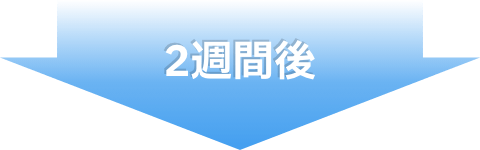 2週間後